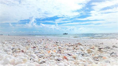 Best Beaches In Florida For Beach Combing And Shelling