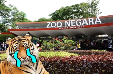 Zoo Negara Mampu Bertahan 6 bulan Akan Datang — MYKMU.NET