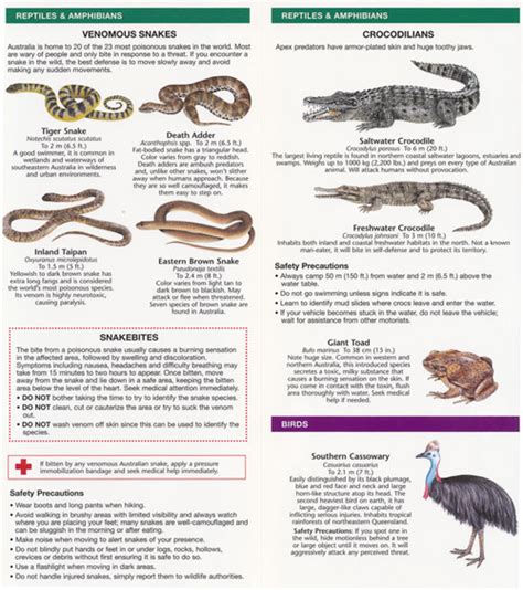 Australias Dangerous Animals Pocket Guide Maps Books And Travel Guides