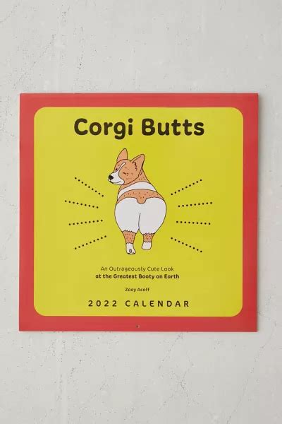 Corgi Butts 2022 Wall Calendar Urban Outfitters Canada