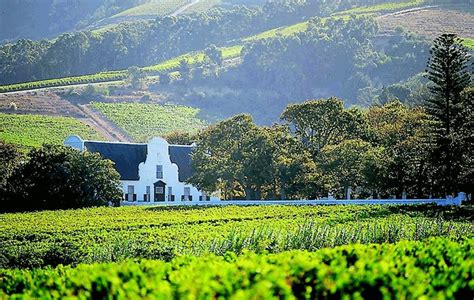 Franschhoek Tram Wine Tasting Tour Experience Cape Town Discover