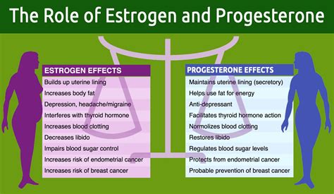 Hormones Progesterone Increase Progesterone