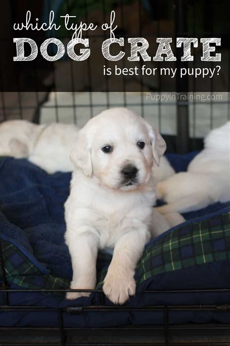 Whatever the case, whether crate training, a new transition, fireworks, or perhaps a thunderstorm, rest assured the. Which Dog Crate Is Best For My Puppy? - Puppy In Training