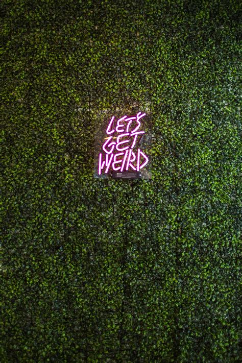 Diy Greenery And Neon Light Wall Neon Signs Neon Wall Signage
