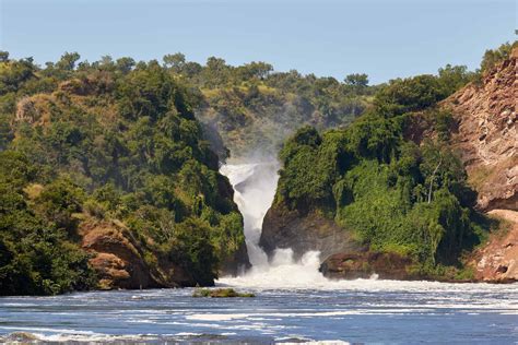 Murchison Falls National Park Safari Prices Times 2023