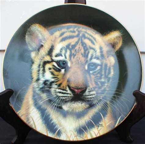 1991 princeton gallery curbs of big cats plate collection tiger cub décor plate ebay