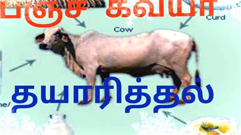 They are dating each other for the past two weeks. Vermicomposting Meaning In Tamil - Garden Bugs