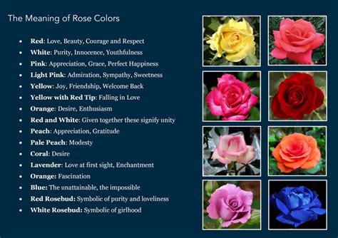 Each flower has a unique color and essence that vibrationally corresponds with one or more of the seven chakras in our body. The Meaning Of Rise Colors Pictures, Photos, and Images ...