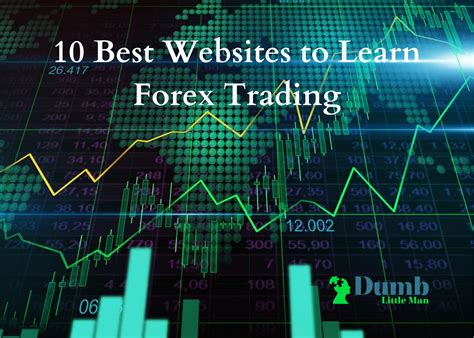 10 Best Websites To Learn Forex Trading 2024 • Dumb Little Man