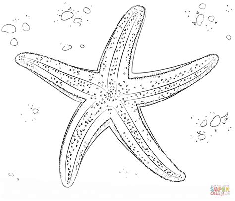 Dibujo De Estrella De Mar Para Colorear Dibujos Para Colorear