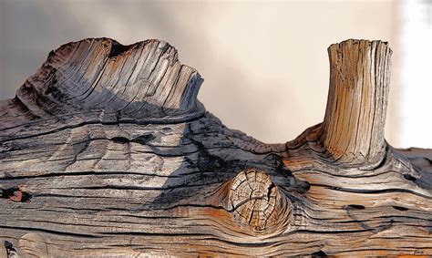 Wooden Landscape Photograph
