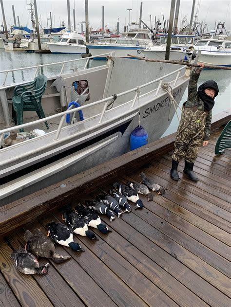 Photo Gallery Alaska Sea Duck Hunts