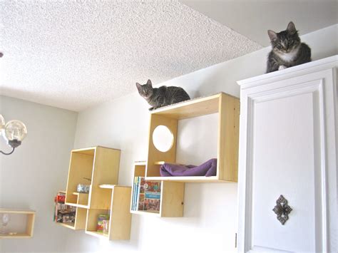 Use Your Wall Space Cat Wall Shelves Display Shelves Shelving Black