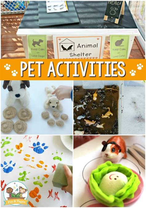 Pets Theme Activities For Preschool Kindergarten Activities