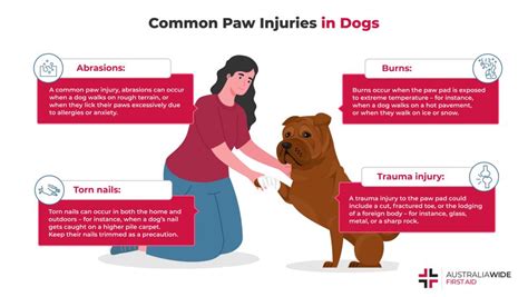 Paw Care For Dogs