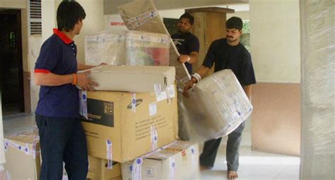 Understanding The Importance Of Professional Movers And Packers In Your