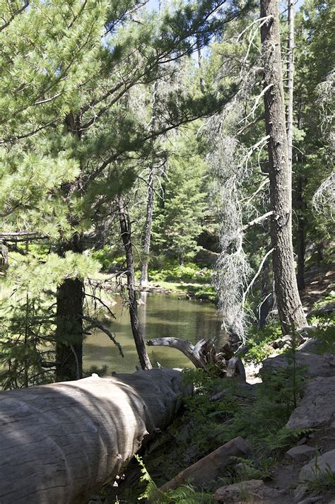 Every ballpark is operating at reduced attendance capacity and is implementing strict protocols to ensure the health and safety of all involved. Payson Ponderings: Woods Canyon Lake Revisited