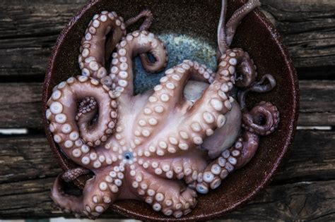 Premium Photo Octopus Is Raw Ready To Cook Closeup Of A Fresh Raw