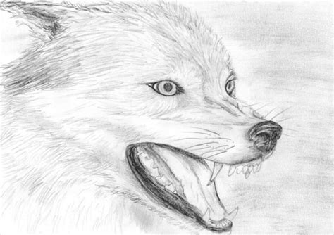 We did not find results for: FREE 20+ Wolf Drawings in AI