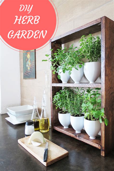 Diy Lite Make An Herb Garden From Kitchen Recyclables Diy Herb