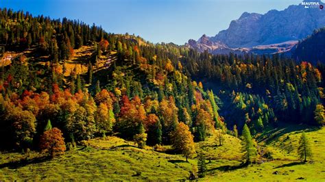 Karwendel Austria Mountains Woods Autumn Tirol Beautiful Views