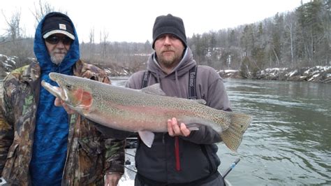 Steelhead Fishing In Michigan A Complete Guide Strike And Catch