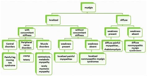 The groups of myalgia are described: Myalgia, A Practical Approach | NeuroAdvise