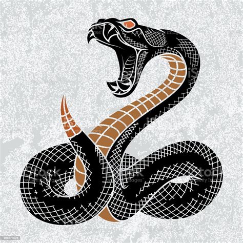 Viper Snake Stock Illustration Download Image Now Istock