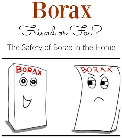 The Safety Of Borax It Takes Time