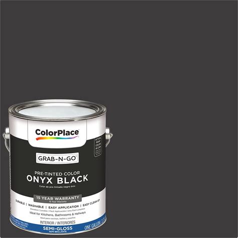 Colorplace Ready To Use Interior Paint Onyx Black 1 Gallon Semi