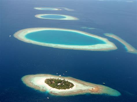 Not So Much Trouble In Paradise Are Coral Islands Really Doomed Der