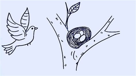 How To Draw Bird Nest Bird Nest Drawing Step By Step Very Easy Draw