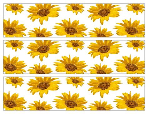 Sunflower Bulletin Board Border 5 Printable Designs Etsy