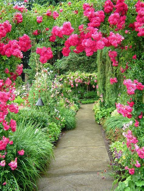 A Garden Filled With Lots Of Pink Flowers