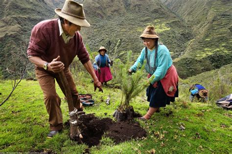 (12) 4.5 out of 5 stars 479. Pachamama Raymi: sembrando prosperidad