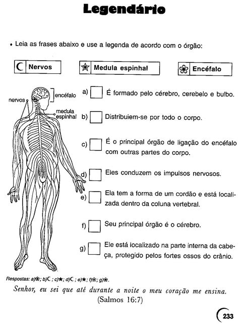 Atividade Corpo Humano 5 Ano