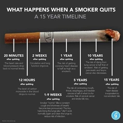 Stop mixing cannabis/marijuana and tobacco. Stop smoking #meme | Healthy meme : keep you motivated in your diet. | Pinterest | Smoking ...