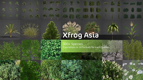 3d Model Collection Xfrog Asia Vr Ar Low Poly Cgtrader