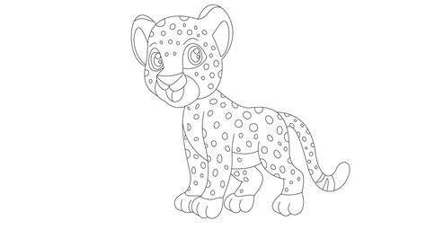 How To Draw And Color A Cheetah For Kids Verbnow