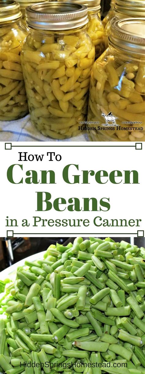 Check out our blog post all about pressure canning green beans today! Home Canned Green Beans | Can green beans, Canning recipes, Canning vegetables