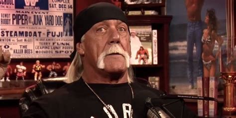 Hulk Hogan Fired From Wwe Over Racist Comments Read Them Here Cinem