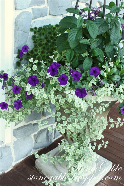 We did not find results for: FRONT PORCH FLOWERS - StoneGable