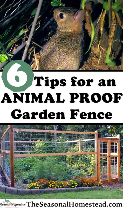 6 Tips To Create An Animal Proof Garden Fence The Seasonal Homestead