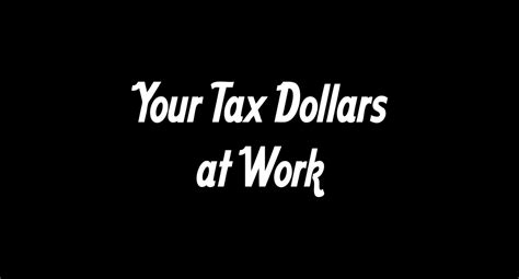 Print your completed tax returns for free! Your Tax Dollars At Work t-shirt from Amorphia Apparel