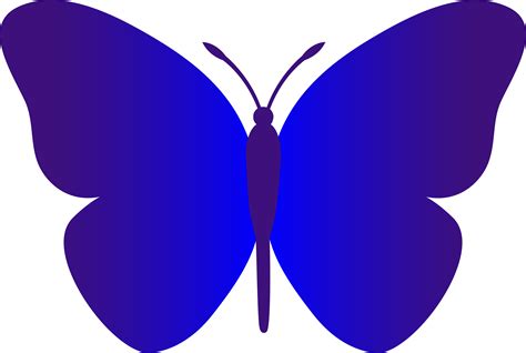 Free Blue Butterfly Images Download Free Blue Butterfly Images Png