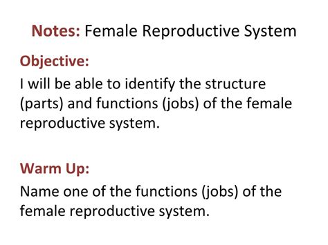 Female Reproductive System Ppt Download