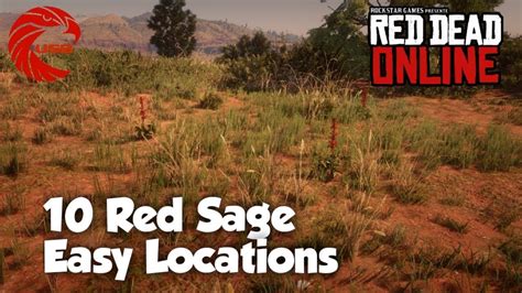 Red Sage Locations Rdr2 Online Red Dead Online Red Sage Location