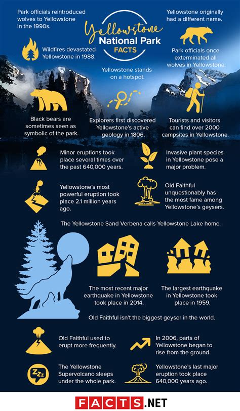 50 Yellowstone National Park Facts You Cant Miss