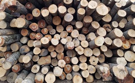 Projecting Lumber Demand In The Us And Abroad Usda
