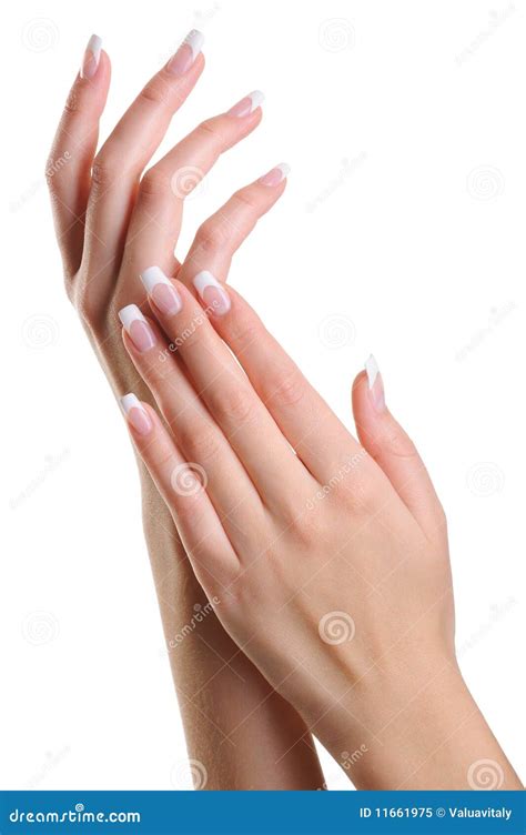 Beauty Elegant Female Hands With French Manicure Stock Image Image